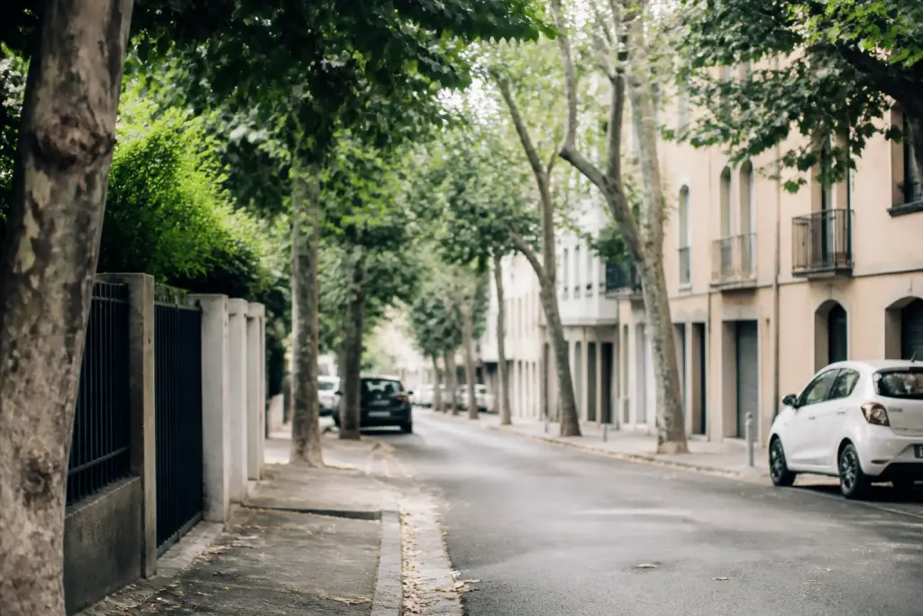 Rue calme avec maisons, commerces et arbres verts