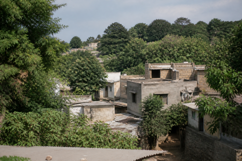 Habitations dispersees parmi arbres dans zone urbaine