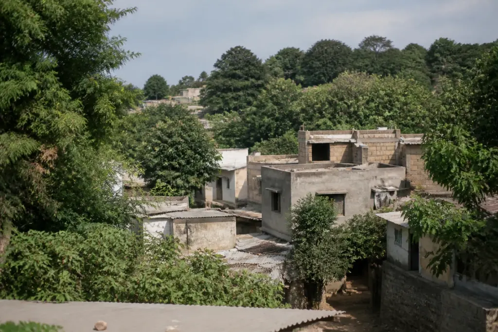 Habitations dispersees parmi arbres dans zone urbaine